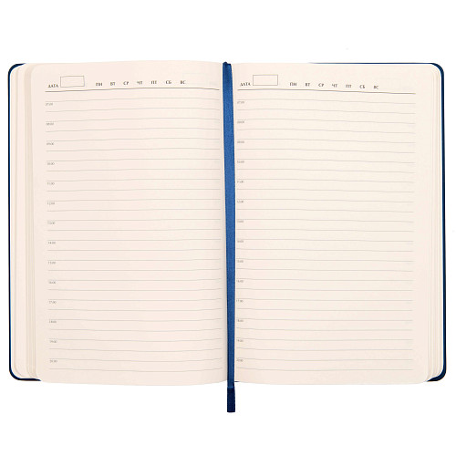 Подарочный набор "Змея" (аккумулятор, ежедневник и ручка синий) 