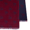 Шарф "Мотоциклисты" (T26MOTO3) (шерсть 100% синий бордо 40х195) 