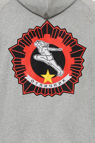 Толстовка на молнии "Отличник" (хлопок 70% полиэстер 30% серый S) 